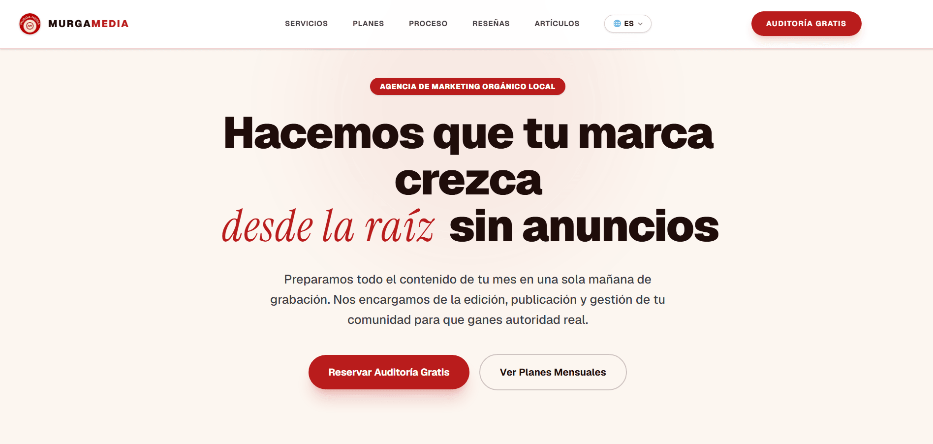 Agencia de Marketing